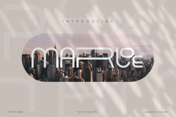 Marloe: A Bold Display Font for Creative Campaigns