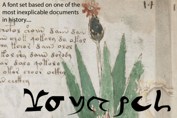 Voynich - Regular Review